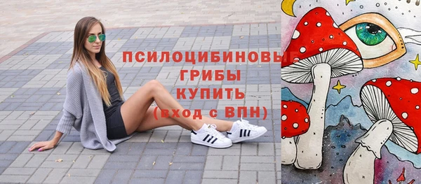молекула духа Алзамай