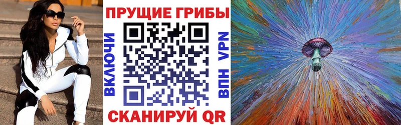 Галлюциногенные грибы Psilocybine cubensis  darknet какой сайт  Биробиджан  купить  цена 