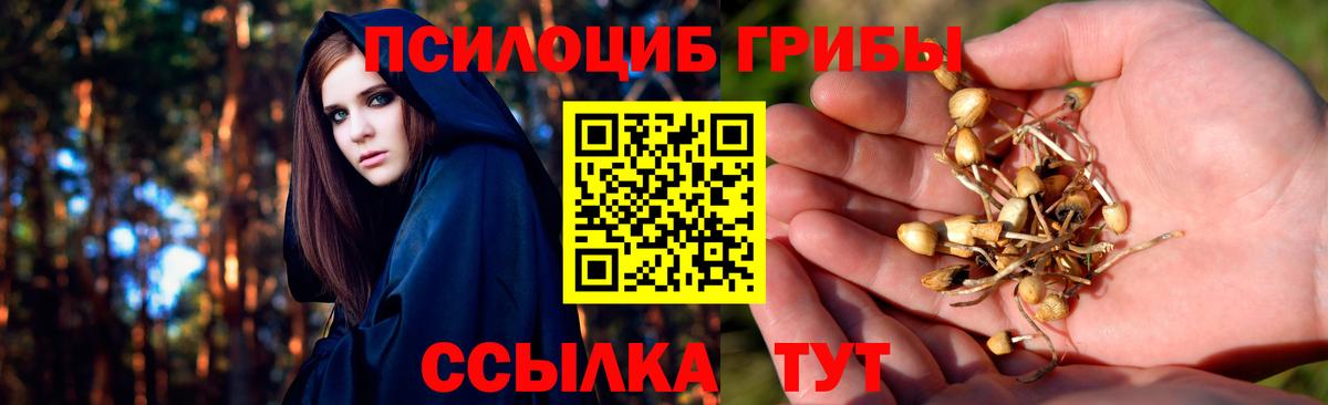 Галлюциногенные грибы прущие грибы  наркошоп  Вход с VPN  Биробиджан  Псилоцибиновые грибы Cubensis 